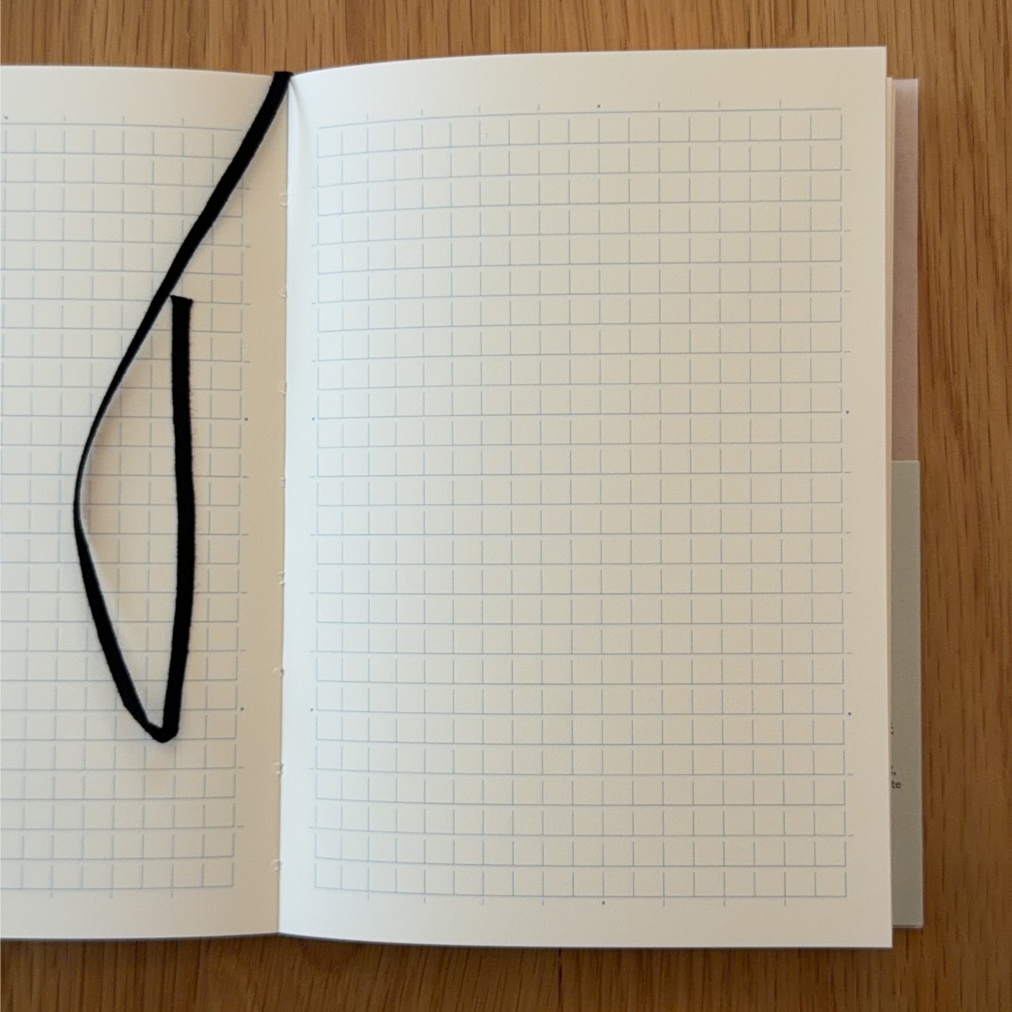 Midori MD Notebook A5 open to show the grid MD Paper and its bookmark string